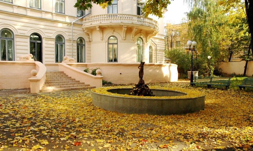 Парк Усадьбы Сандецкого формировался на основе уже растущих здесь деревьев