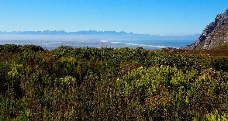 Основная часть Агрийского заказника находится на горном плато