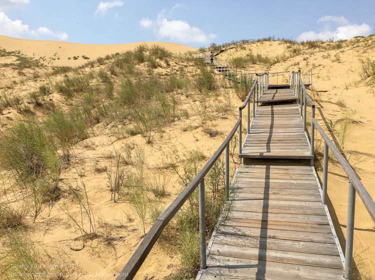 Тропа на вершину бархана Сарыкум