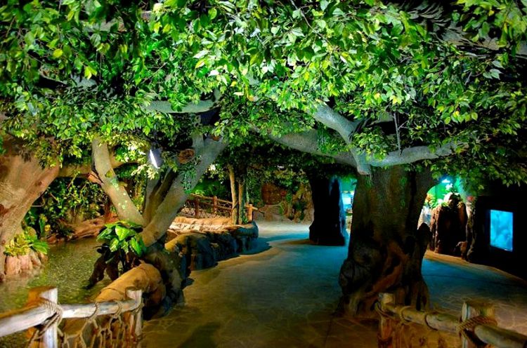 Обстановка интерьера в Океанариуме переносит посетителей в загадочный мир