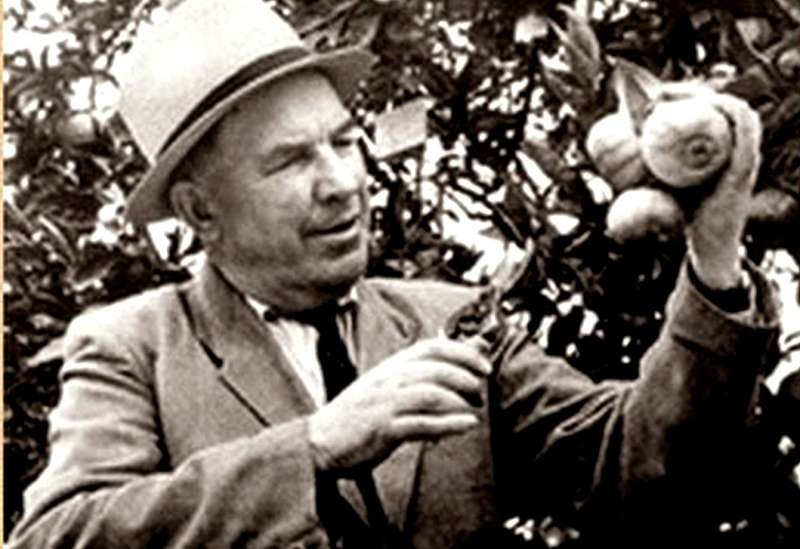 Федор Зорин был настоящим фанатом своей любимой селекционной работы