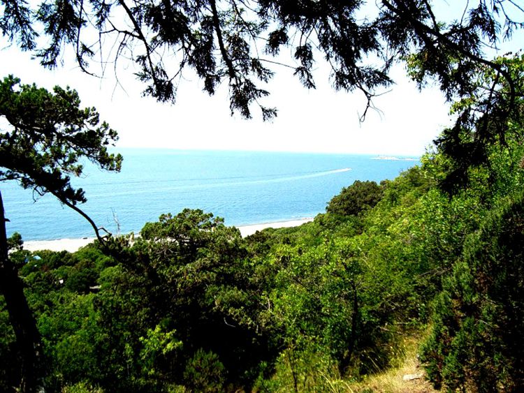 Кроме Абраусского заказника в Новороссийском округе много других природных красот