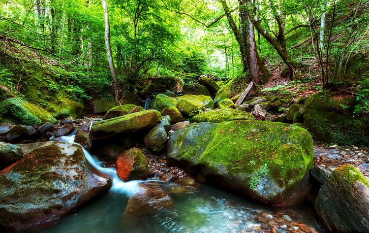 В Свирском ущелье царит первозданный покой и тишина