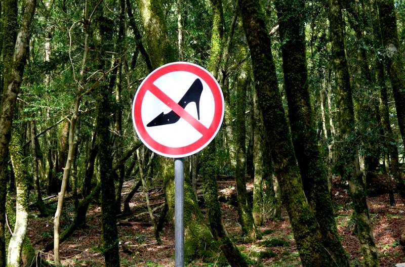 При посещении Тисо-Самшитовой рощи не забывайте про обувь!