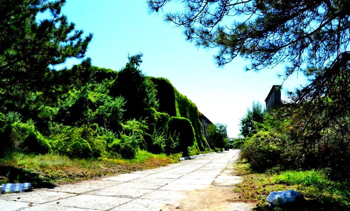 Дорога, ведущая от от ворот к заводской проходной