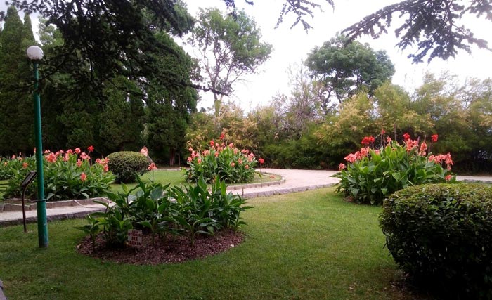 Прогулки по Мисхорскому парку приятны для души и полезны для здоровья