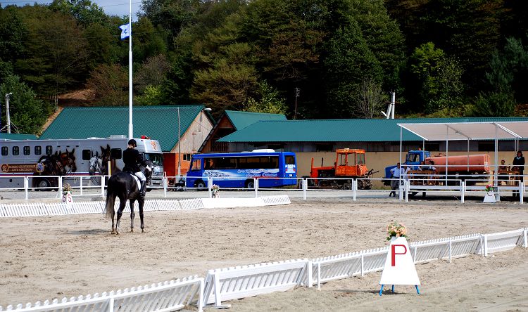 В конной школе можно покататься на лошадях или отдохнуть на рыбалке