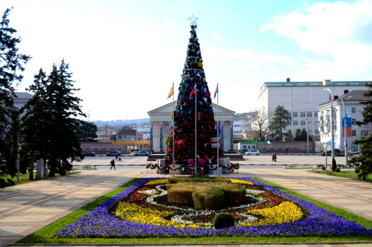 Клумба Новороссийск