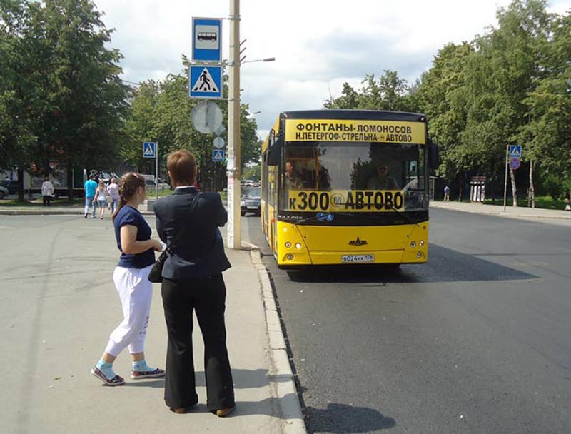 Автобусы у станции метро Автово в Петергоф