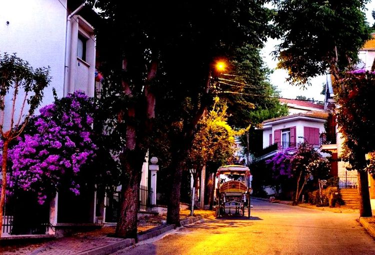 Наиболее интересным для посещения является романтический остров Бююкады 