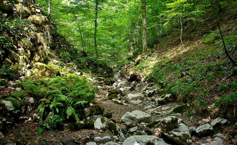 Прогуляться по лесным тропам по дороге к пещере очень интересно Прогуляться по лесным тропам по дороге к пещере очень интересно