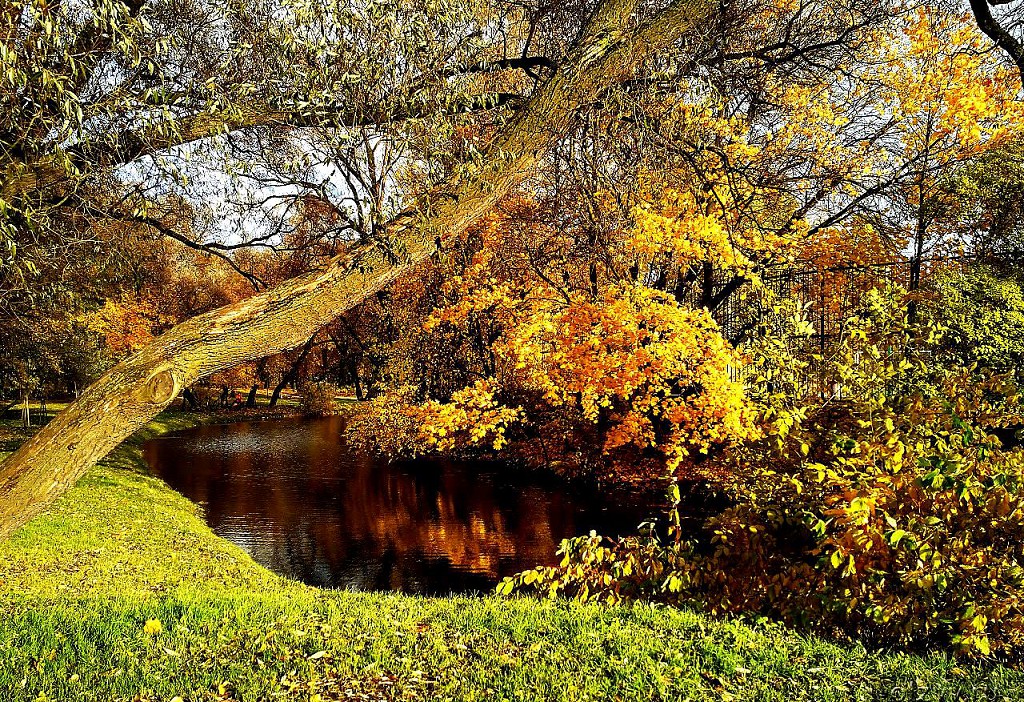 Сегодняшний Екатерингоф еще сохраняет таинственный дух времени