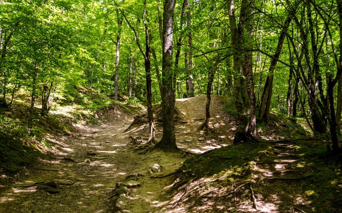 Путешествие по горным тропинкам в поисках дольменов - одно удовольствие