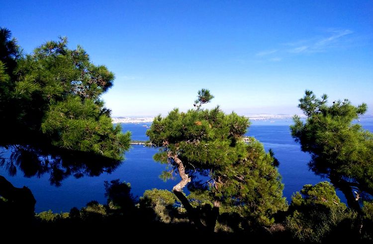 Вся красота райских островов открывается именно с их вершин!