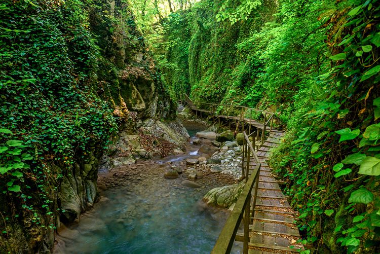 Изумрудная нежная зелень прекрасно сочетается с суровостью скал