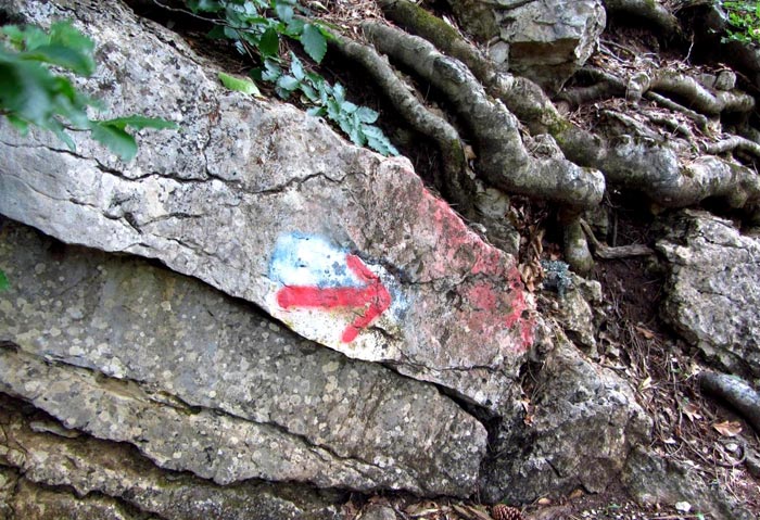 Стрелки указывают правильное направление маршрута