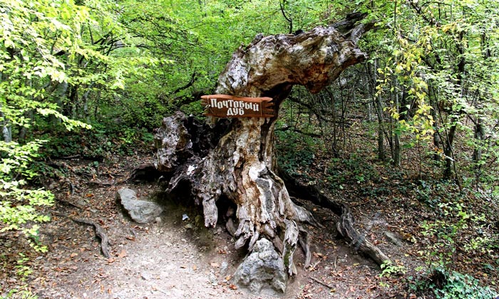 От Почтового Дуба начинается заповедная территория каньона