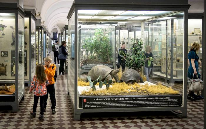 Погулять среди экспонатов Зоомузея интересно в любом возрасте