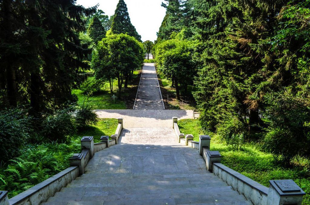 Аллея Тбилисского ботанического сада Аллея Тбилисского ботанического сада