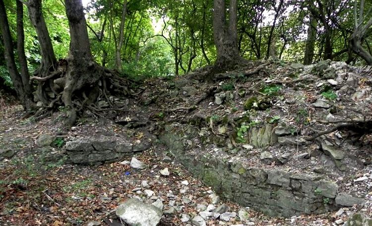 Руины древней крепости Никопсии постепенно поглощаются кавказской природой