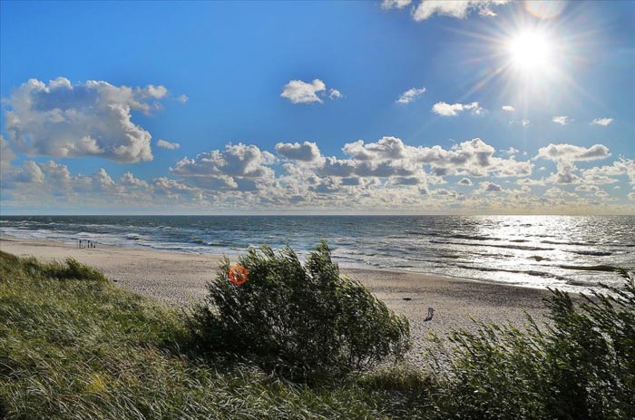Красоты Куршской косы