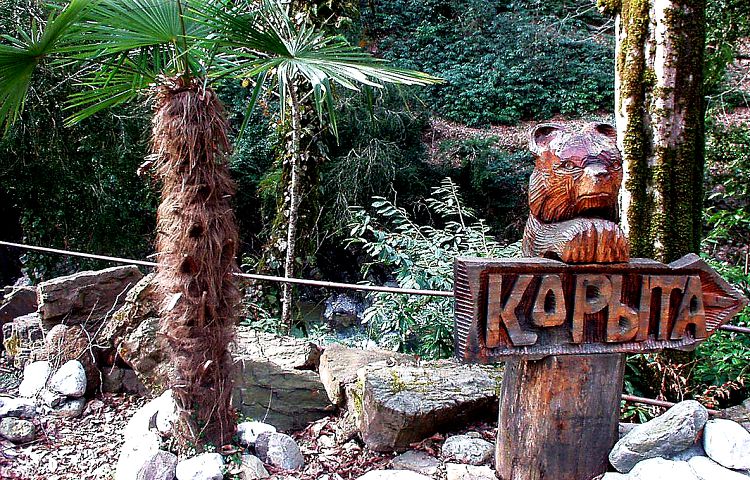 Съездить на Дагомысские корыта можно самостоятельно