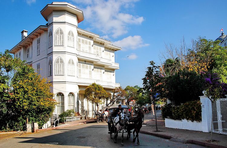 Принцевы острова - экологически чистый район и весьма экзотический