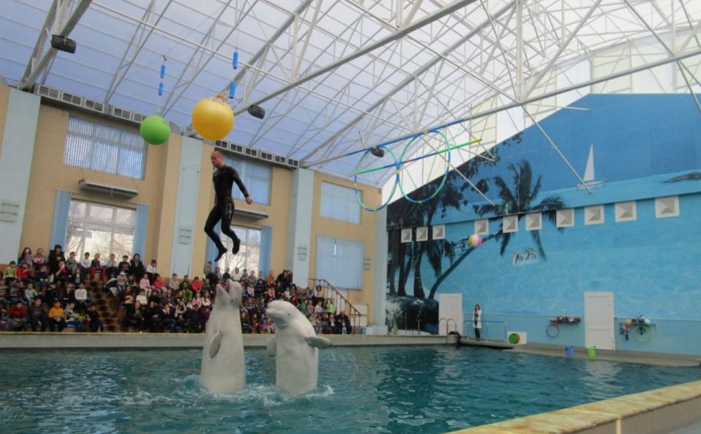 Дельфинарий Кисловодска