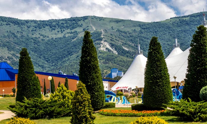 Вечнозеленые растения на фоне многовековых гор радуют создают ощущение счастья