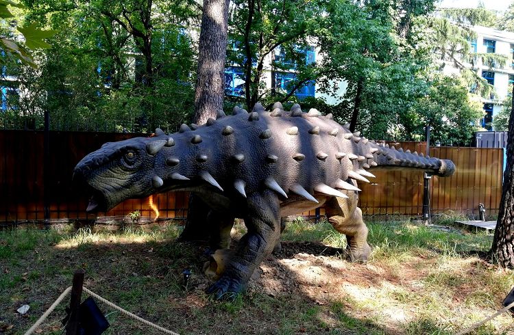 Маленькие дети от экспонатов этого парка приходят в полный восторг