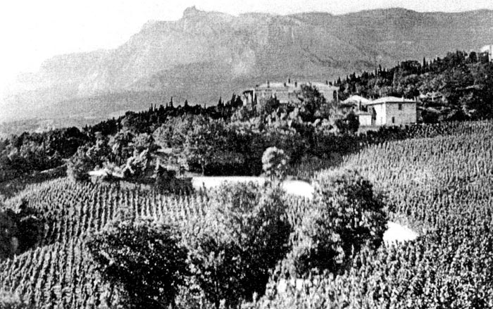 Княжеские виноградники имения Ай-Тодор Княжеские виноградники имения Ай-Тодор