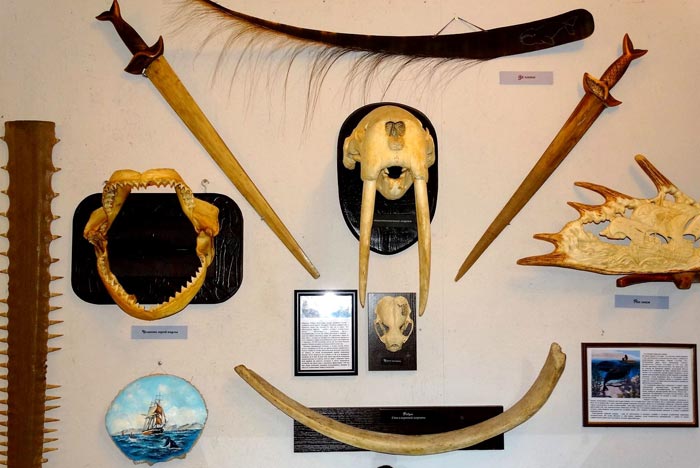 Уникальные экспонаты Музея рыбы и рыболовства