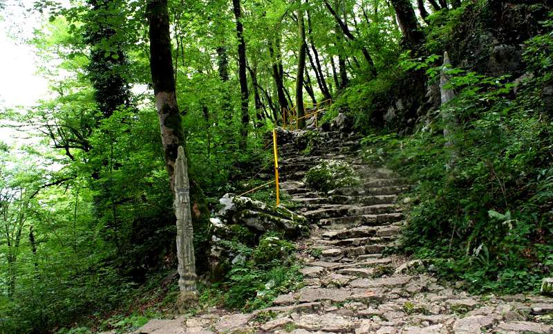 Подъем к пещерному чуду Сочинского заповедника довольно крут Подъем к пещерному чуду Сочинского заповедника довольно крут