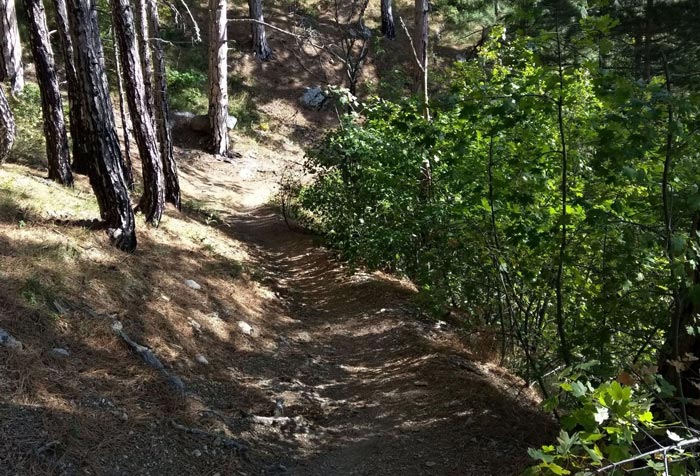 Подъем по Кореизской тропе на Ай-Петри начинается из Кореиза (Мисхора)