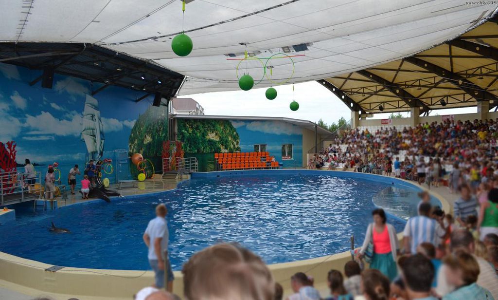 Дельфинарий «Немо» также находится в Джемете