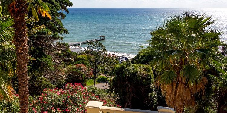 В Сочи преобладает влажный субтропический микроклимат