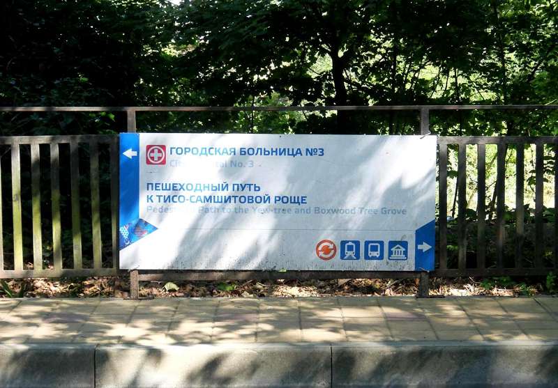 Заблудиться по дороге к роще не удастся