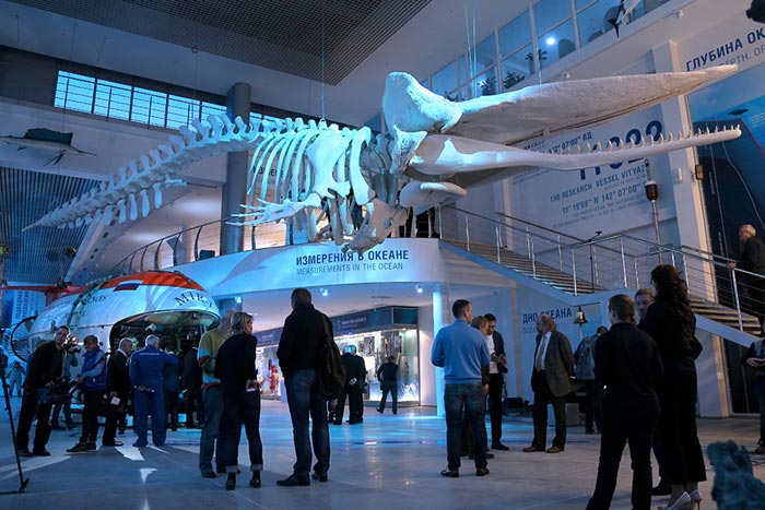 В музее мирового океана