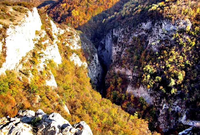 Ущелье Большого каньона - это своеобразная замкнутая экосистема
