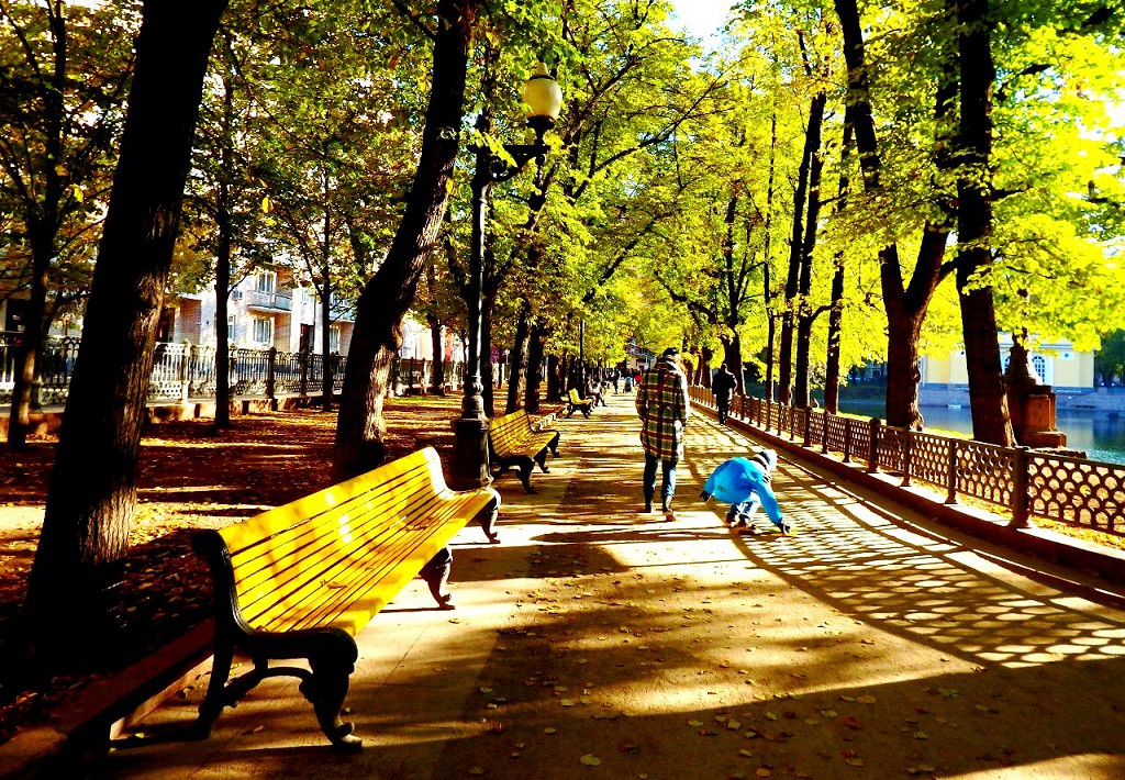 Патриаршие пруды как благоустроенная территория начали формироваться с 17 столетия