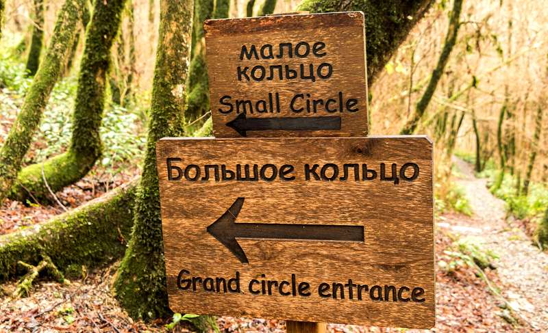 По какому из маршрутов идти - каждый выбирает сам