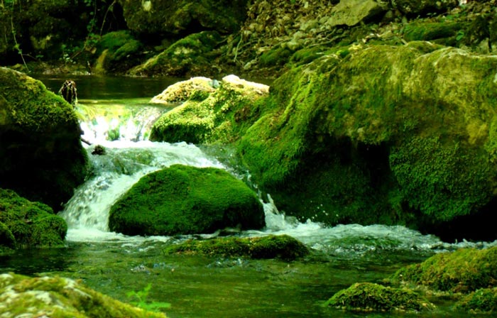 Огромные валуны и камни являются дном ущелья, по которому течет река