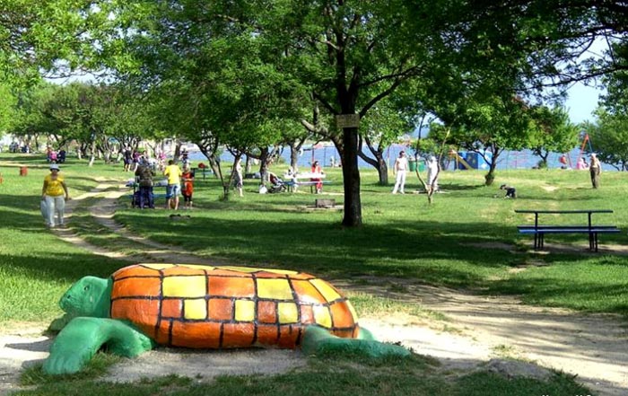 Символ Пляжа "Черепашки"