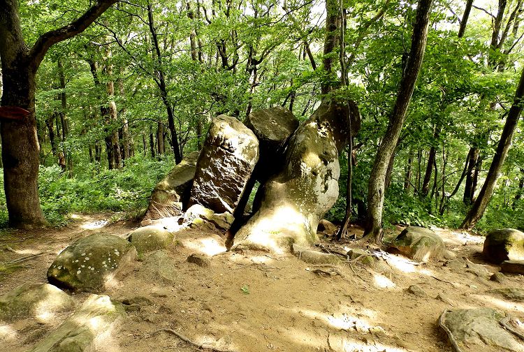 Пройдете через Тоннель в будущее и все у вас будет хорошо!