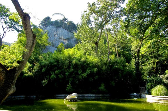 "Лебединое озеро" на территории дворцового парка