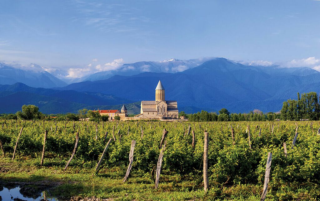 Виноградники Кахетинского региона