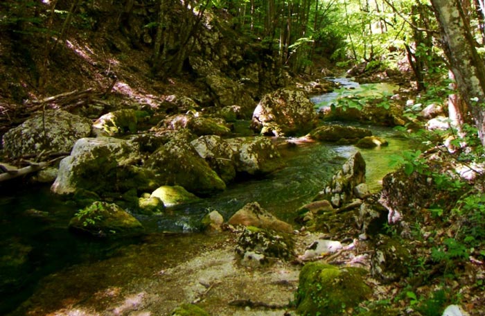 Русло реки Аузун-Узени очень переменчиво и разнообразно