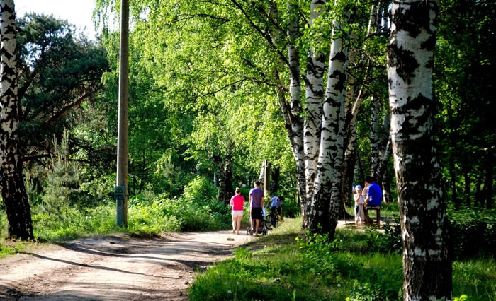 Прогулочные аллеи Сормовского парка