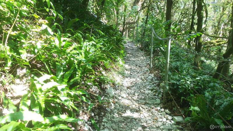 По многим дорожкам рощи ходить нужно весьма осторожно