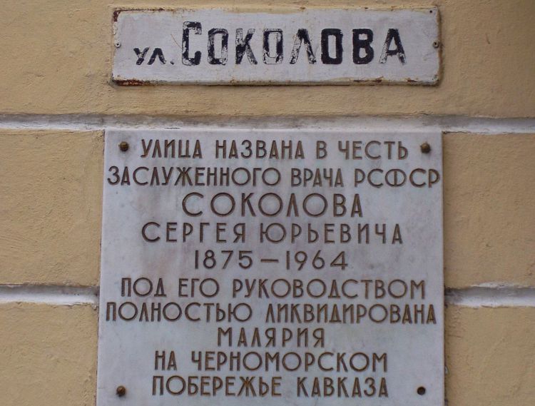 Одна из улиц Сочи была названа именем врача Соколова